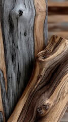 Detailed close-up of unique wood grain patterns