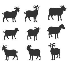 Cute facial expression icon of the sheep