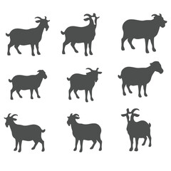 Cute facial expression icon of the sheep