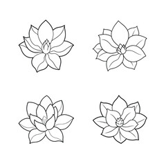 Four simple outline drawings of magnolia flowers in black and white isolated on white background