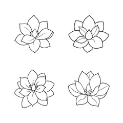 Obraz premium Elegant black and white flower designs in a variety of botanical and natural floral styles