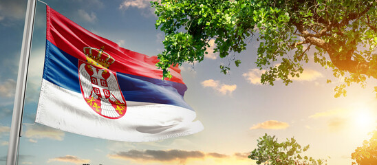 Serbia national flag waving in the sky behind the tree. The flag blow in beautiful sunlight. Serbia national flag for independence day.