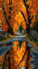 Vibrant autumn colors along a serene country road reflecting in puddles