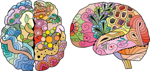 Brain images in zentangle style. Decorative unusual ornaments.