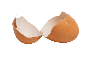 The cracked egg shell photographed with a high-resolution camera using a  stacking focus technique.