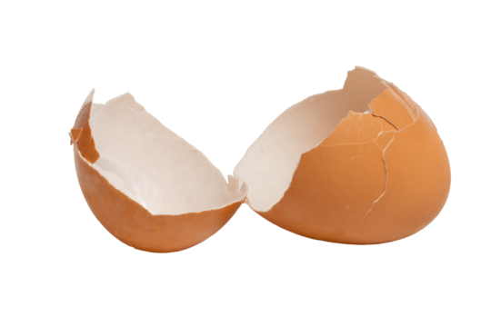 The cracked egg shell photographed with a high-resolution camera using a  stacking focus technique.