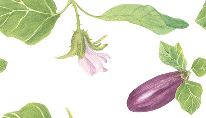 Seamless Watercolor Eggplant Pattern with Flowers and Leaves.White.