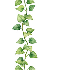 Obraz premium Lush green vine with heart shaped leaves, creating natural and calming atmosphere