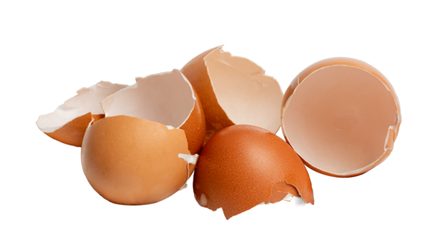 The cracked egg shell photographed with a high-resolution camera using a  stacking focus technique.