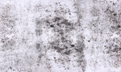 Black Mold Growth on White Wall Surface Texture