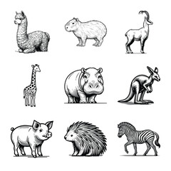 Different types of animal line art bundle vector illustration isolated on a white background