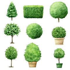 Lush green trees and shrubs in various shapes and sizes, perfect for landscaping designs