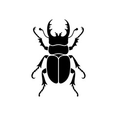 Fototapeta premium Stag Beetle Silhouette Insect