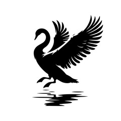 Obraz premium Black Swan In Flight Stunning Silhouette Over Water