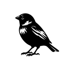 Obraz premium Elegant Sparrow Silhouette Minimalist Bird