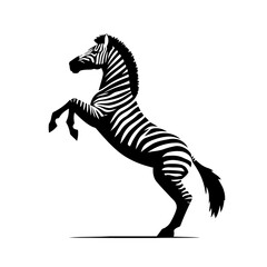 Fototapeta premium Zebra In Stunning Wildlife