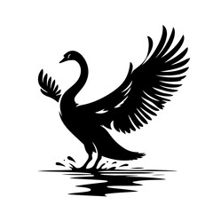 Obraz premium Black Swan In Flight Elegant Silhouette On Water