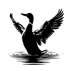 Fototapeta premium Duck Taking Flight Stunning Silhouette Of Duck Landing On Water