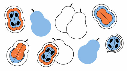 Colorful Cartoon Pears and Cross-Sections