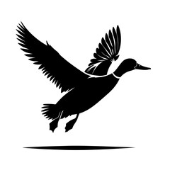 Obraz premium Duck In Flight Silhouette Of Bird Taking Flight
