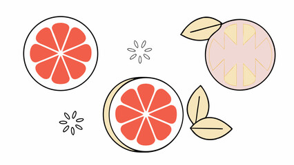 Flat Lay Illustration of Grapefruit Slices with Leaves