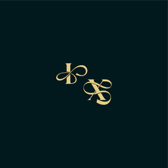 wedding logo initial bold concept design letter elegant and curvy style monogram IX