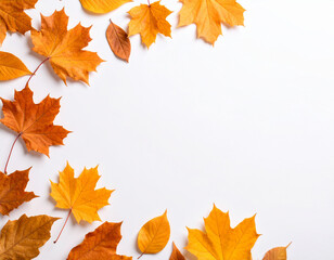 Obraz premium 秋の色に染まった落ち葉 もみじ 白背景