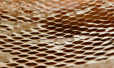 Sustainable Honeycomb Wrap Cells Structure Closeup Stock Photo

