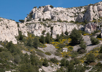 Coastal environments from the Mediterranean coast. Shot during 3 days of hiking in the Calanques, south of France, close to Marseille.