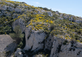 Coastal environments from the Mediterranean coast. Shot during 3 days of hiking in the Calanques, south of France, close to Marseille.
