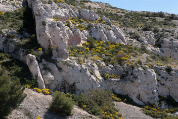 Coastal environments from the Mediterranean coast. Shot during 3 days of hiking in the Calanques, south of France, close to Marseille.