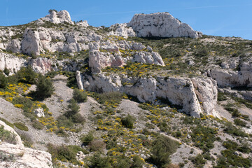Coastal environments from the Mediterranean coast. Shot during 3 days of hiking in the Calanques, south of France, close to Marseille.