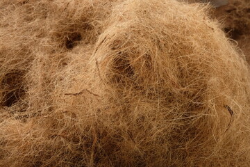 Coconut fiber or coconut coir is a derivative product of the coconut tree. Cocos nucifera. 