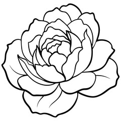 Lifelike Vector Illustration of a Pink Peony Flower – Realistic Bloom, Botanical Art, Floral Design, Nature Clipart, Garden Element, Wedding Decor, Spring
