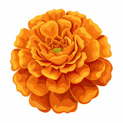 Realistic Vector Illustration of an Orange Marigold Flower – Floral Clipart, Botanical Art, Garden Bloom, Isolated Petal Design, Spring Nature Element, Wedding Decor Graphic
