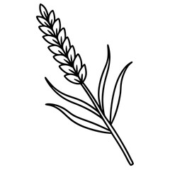 Realistic Vector Illustration of a Lavender Flower Spike – Botanical Clipart, Aromatherapy Herb, Purple Floral Isolated Design, Nature Element, Medicinal Plant, Spa Decor, Editable EPS
