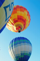 Naklejka premium Colorful hot air balloons ascending against clear blue sky.