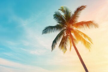 Palm Tree Silhouetted Against a Colorful Horizon at Sunset