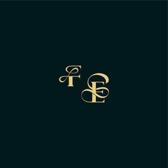 wedding logo initial FE elegant and curvy style monogram bold concept design letter