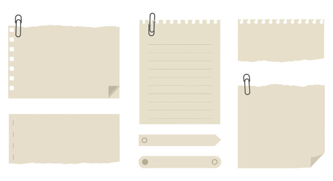 Collection of blank torn and lined paper sheets with paper clips vector illustration
