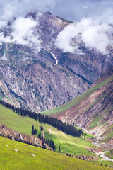 Landscape with mountains and clouds.  Horizontal view, Kashmir valley in the Himalayan region. Serene meadows, alpine trees, and wildflowers on the trails of the Great Lakes of Kashmir, 2021, India.