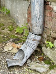 A Rusty Drainpipe Featuring a Weathered Texture Situated Against an Old Brick Wall. An old drainpipe contrasts with aged bricks, highlighting rustic textures among the nearby lush greenery