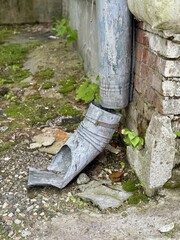 A Rusty Drainpipe Featuring a Weathered Texture Situated Against an Old Brick Wall. An old drainpipe contrasts with aged bricks, highlighting rustic textures among the nearby lush greenery