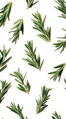 Fototapeta premium Rosemary sprigs scattered on black. Fresh, aromatic herbs