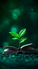 Sprout emerging from book, dark green bokeh background, growth concept