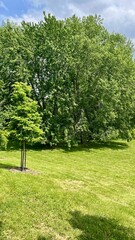 Beautiful nature
