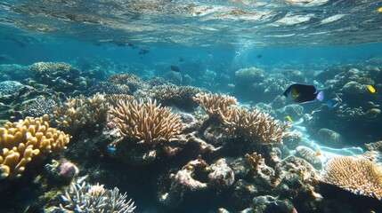 Fototapeta premium Vibrant Underwater Coral Reef Ecosystem with Colorful Fish Swimming Amidst Diverse Marine Life