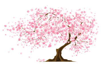 Pink Cherry Blossom Tree Spring Floral Design cherry tree