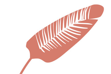 Salmon Pink Leaf Abstract Minimalist Botanical Illustration