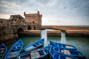 2024 03 19 Essaouira Port and blu boats 17